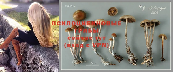 соль ск Дмитровск
